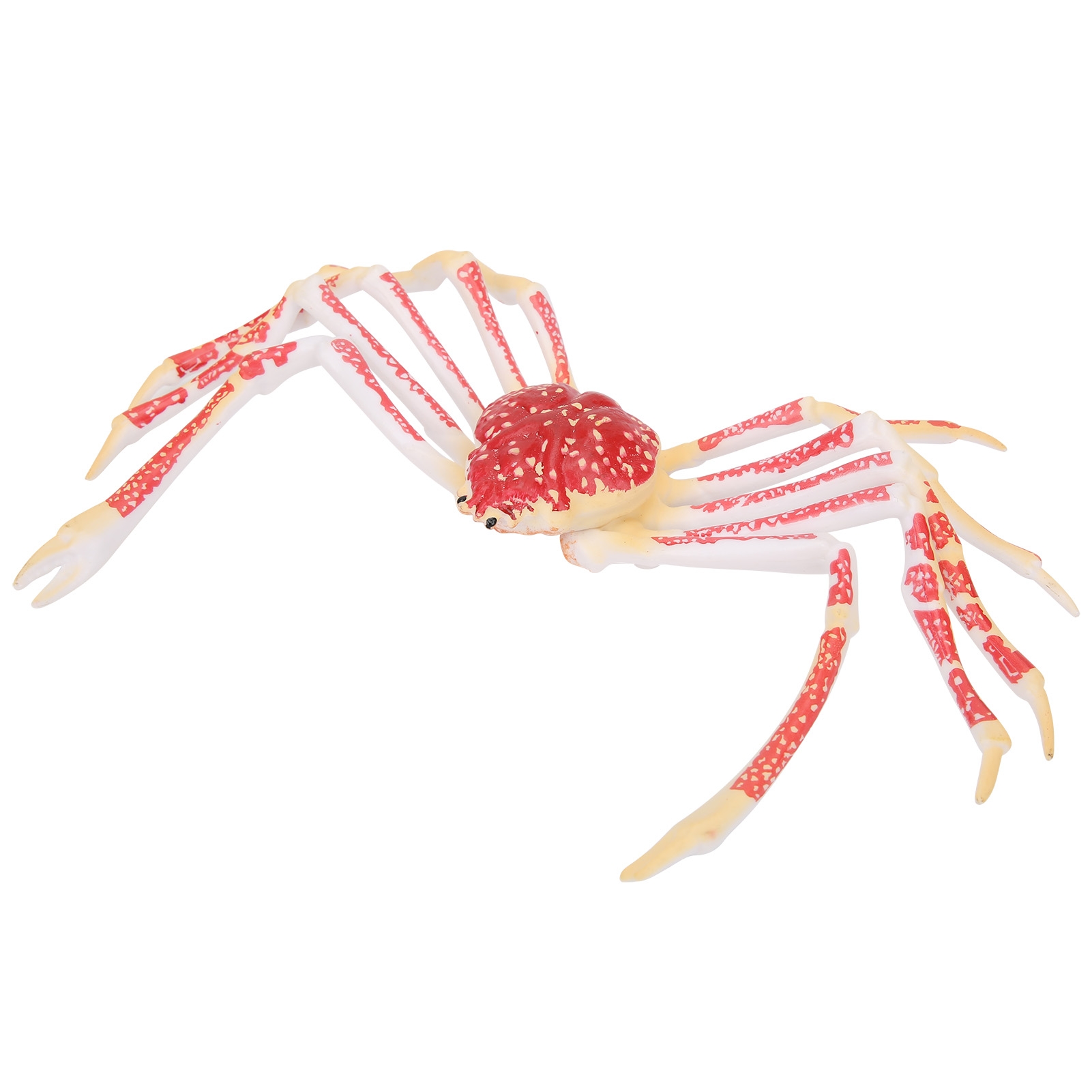 Symulowany model kraba, dekora – Kids Toys Home recenzja i cena
